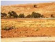 Lot 82 Swallow Drive, Hewett SA 5118
