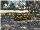Lot 4 Ian Ross Drive, Williamstown SA 5351
