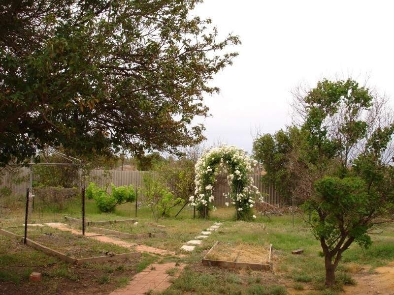 47 Maitland Close, Mullewa WA 6630