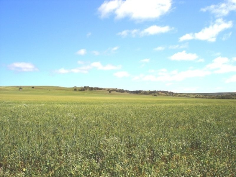 Lot 2 Ivan Gould Road, Geraldton WA 6530