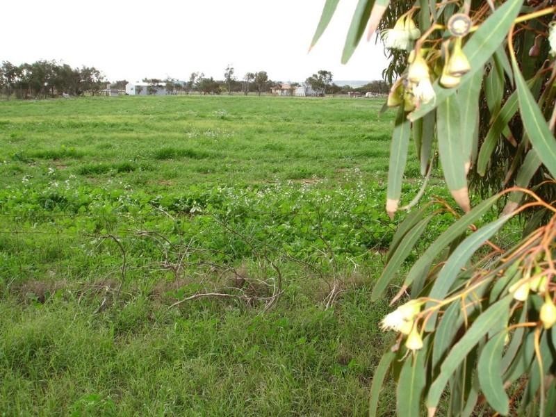 21 Dressage Circle, Deepdale WA 6532