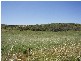 Lot 123 Turtle Dove Rise, Greenough WA 6532