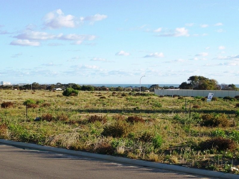 14 Pirrotina Link, Waggrakine WA 6530