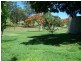 1 Cannan Street, Mount Larcom QLD 4695