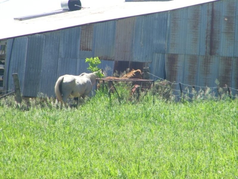 469 Cedarvale Loop Road, Bracewell QLD 4695