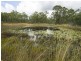 592 Haddock Drive, O’connell QLD 4680