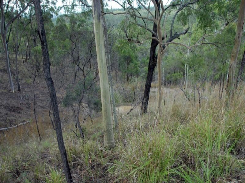 147 Haddock Drive, Burua QLD 4680