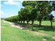 36 Tuckers Road, Boyne Island QLD 4680