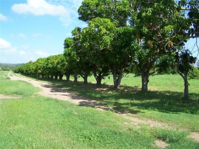 36 Tuckers Road, Boyne Island QLD 4680