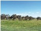 Lot Silverdale Park Estate, Calliope QLD 4680