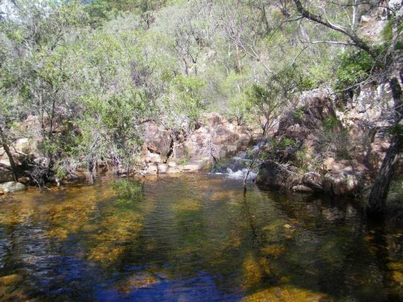 1221 Dude Ranch Road, Iveragh QLD 4680