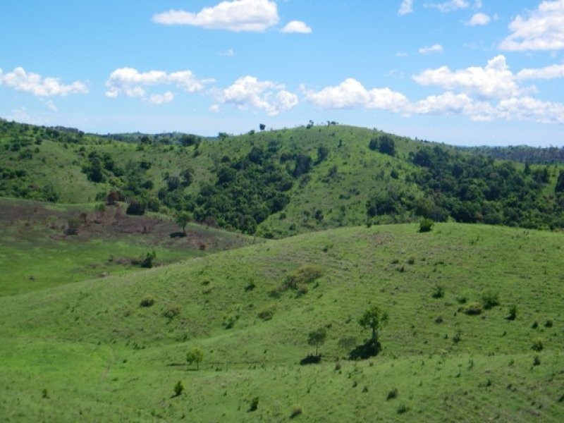 469 Cedarvale Loop Road, Bracewell QLD 4695