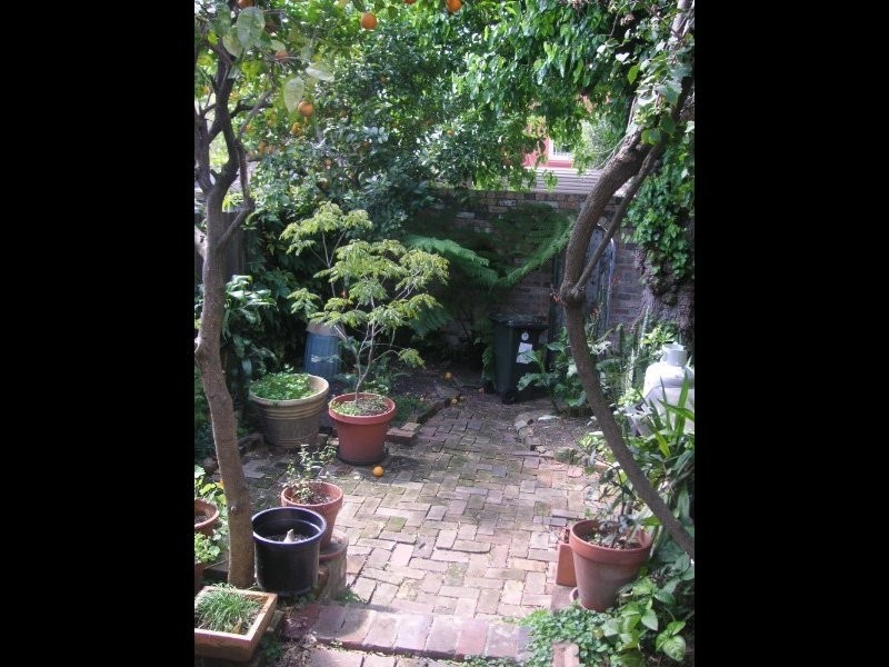 21 Darghan Street, Glebe NSW 2037