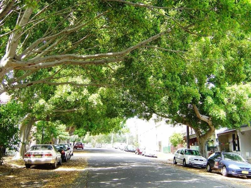 26 Northwood Street, Camperdown NSW 2050