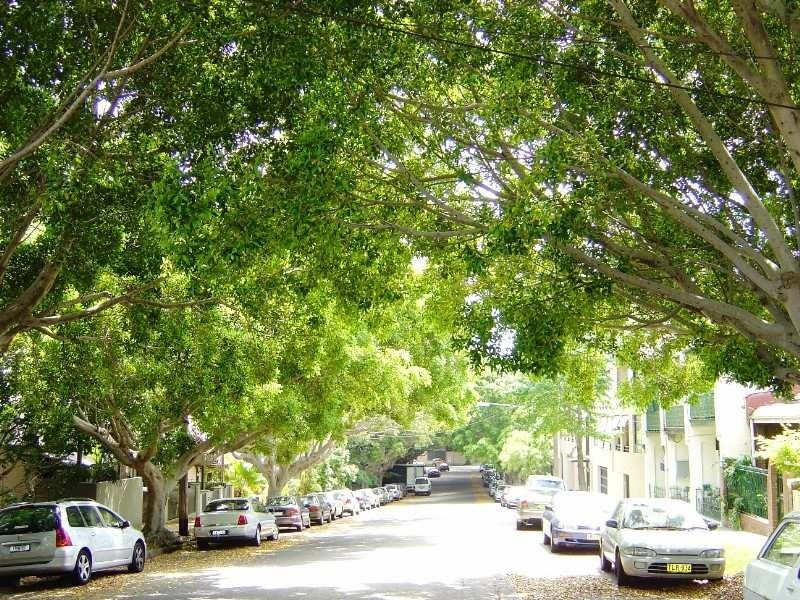 26 Northwood Street, Camperdown NSW 2050