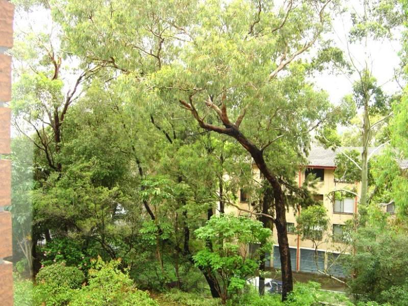 15/10 Leichhardt St, Glebe NSW 2037