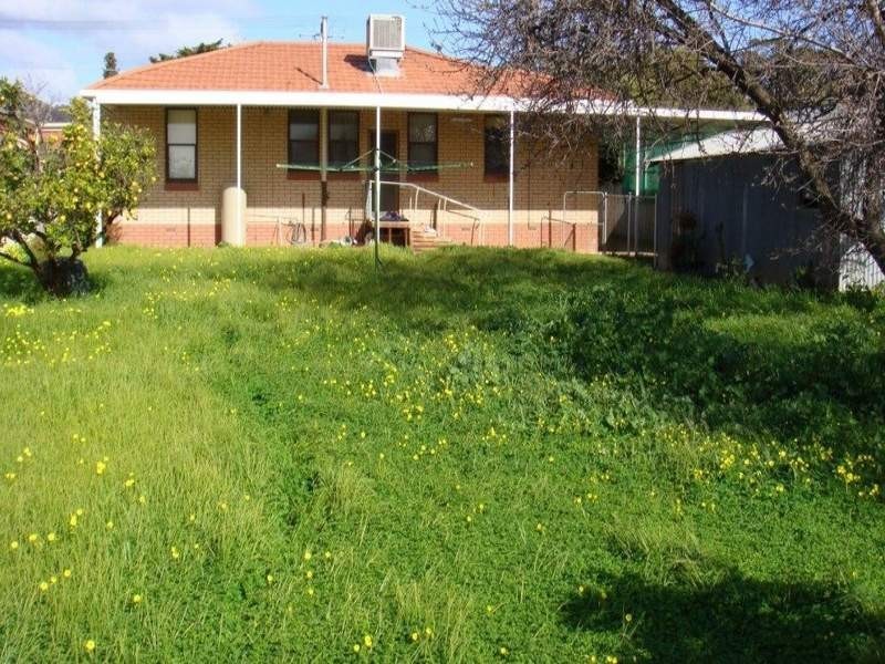 19 Ramsay Avenue, Seacombe Gardens SA 5047