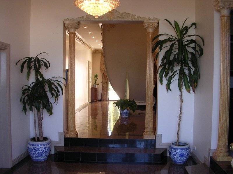 6 Shiraz Place, Auldana SA 5072