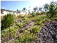 16 Heathwood Place, Collingwood Park QLD 4301