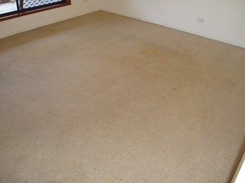 12 Milgate Street, Collingwood Park QLD 4301