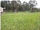 1 Brolga Way, Jilliby NSW 2259