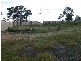 5 Pinewood Close, Woongarrah NSW 2259