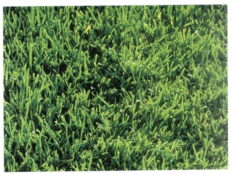 Lot 97 Reigate Street, Gosnells WA 6110