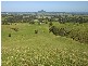 246B Martinvale Lane, Berry NSW 2535