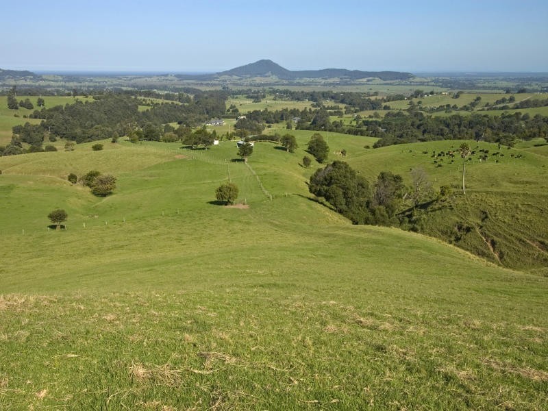 246B Martinvale Lane, Berry NSW 2535