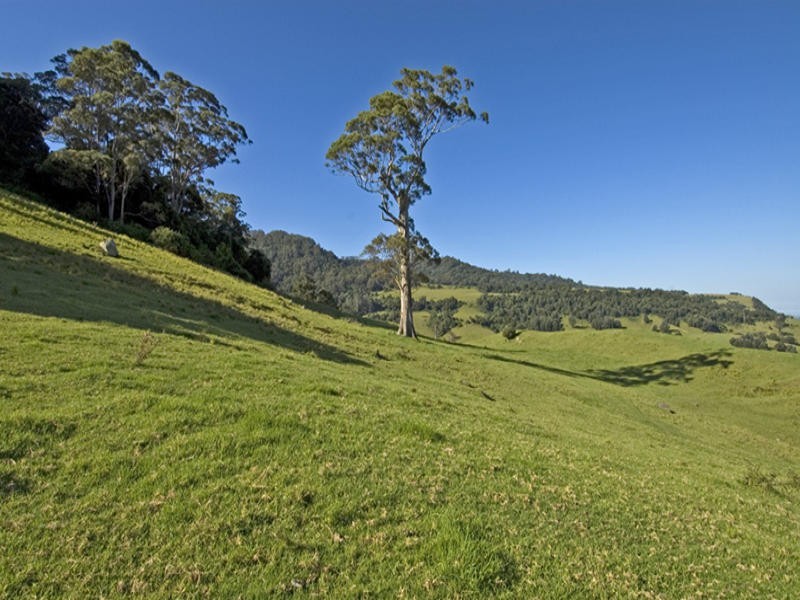246B Martinvale Lane, Berry NSW 2535