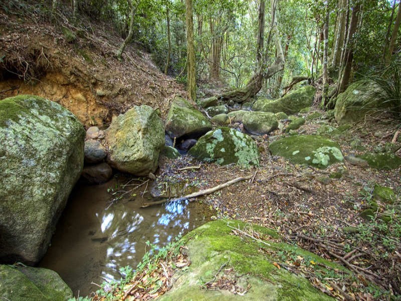 669 Jamberoo Mountain Road, Jamberoo NSW 2533
