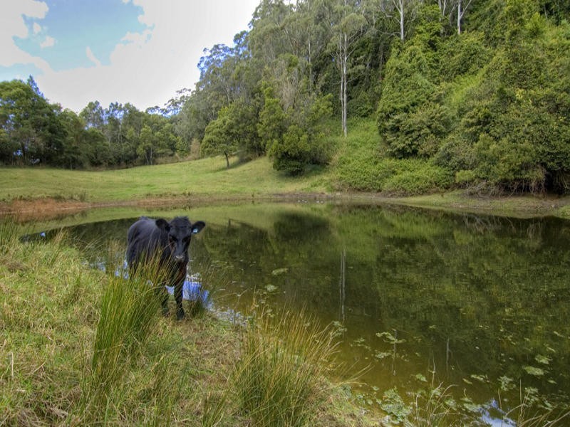 669 Jamberoo Mountain Road, Jamberoo NSW 2533