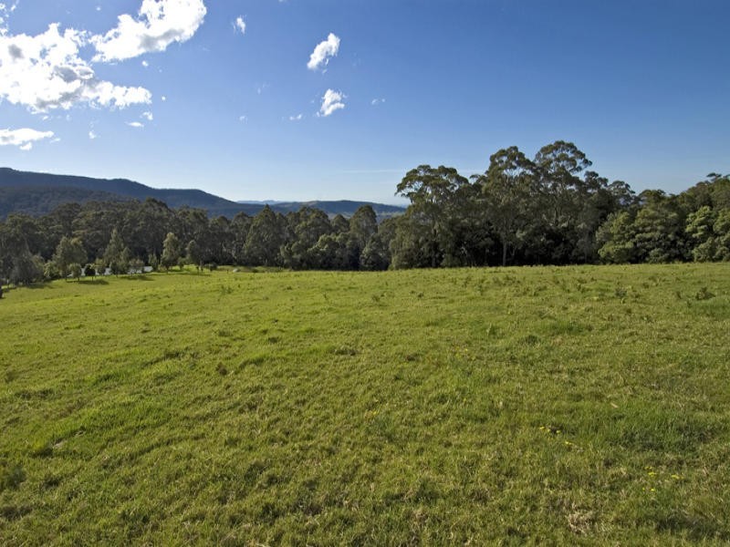 669 Jamberoo Mountain Road, Jamberoo NSW 2533