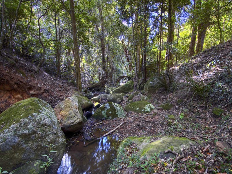 669 Jamberoo Mountain Road, Jamberoo NSW 2533