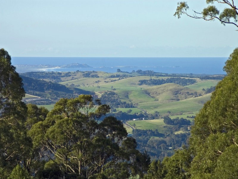 669 Jamberoo Mountain Road, Jamberoo NSW 2533