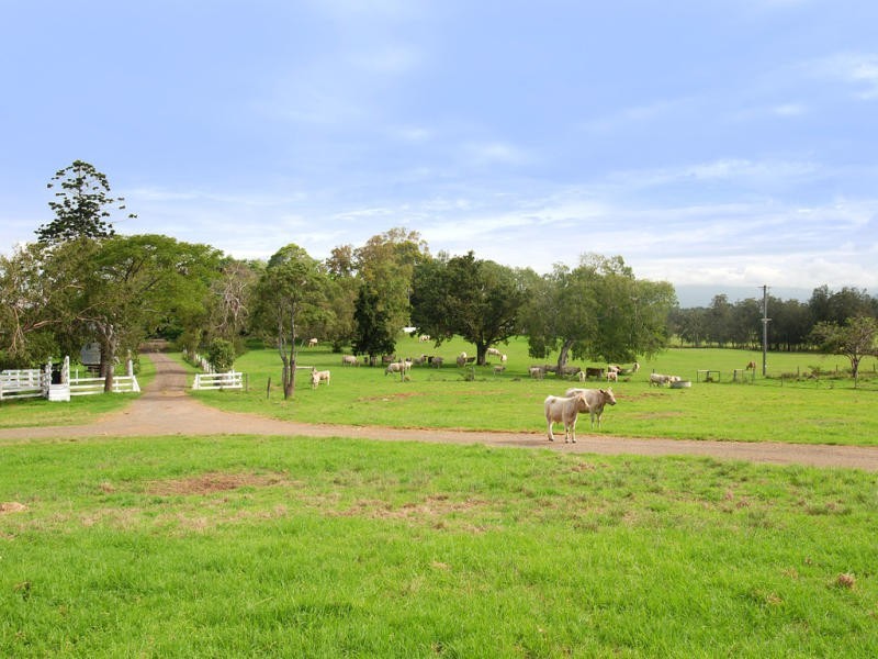 Kembla Grange NSW 2526