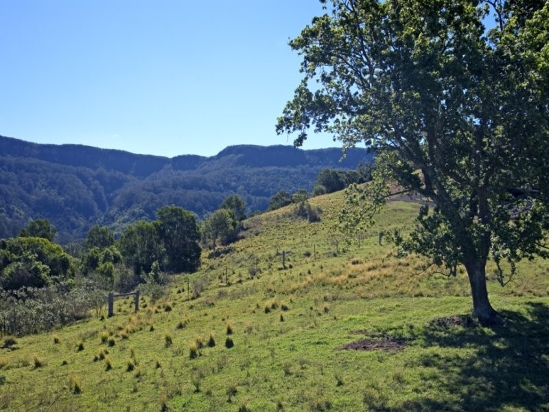 Foxground NSW 2534