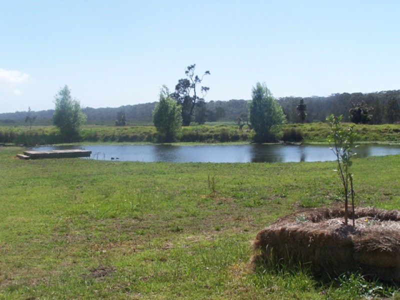 16 Coolangatta Road, Berry NSW 2535