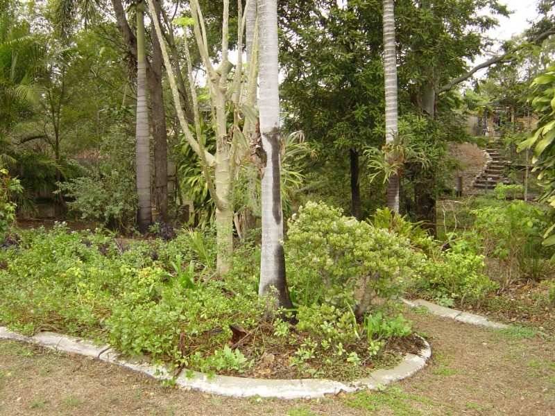 33 Logan Avenue, Oxley QLD 4075