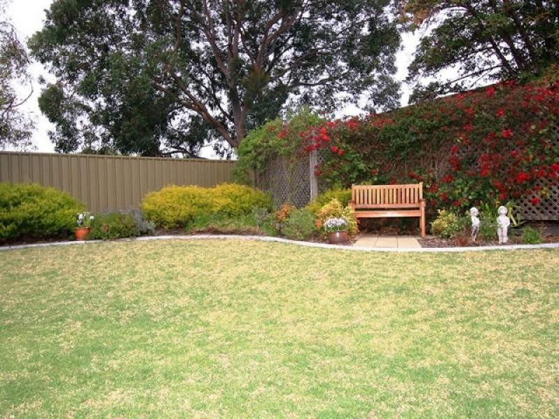 13 Clyde Avenue, Lockleys SA 5032