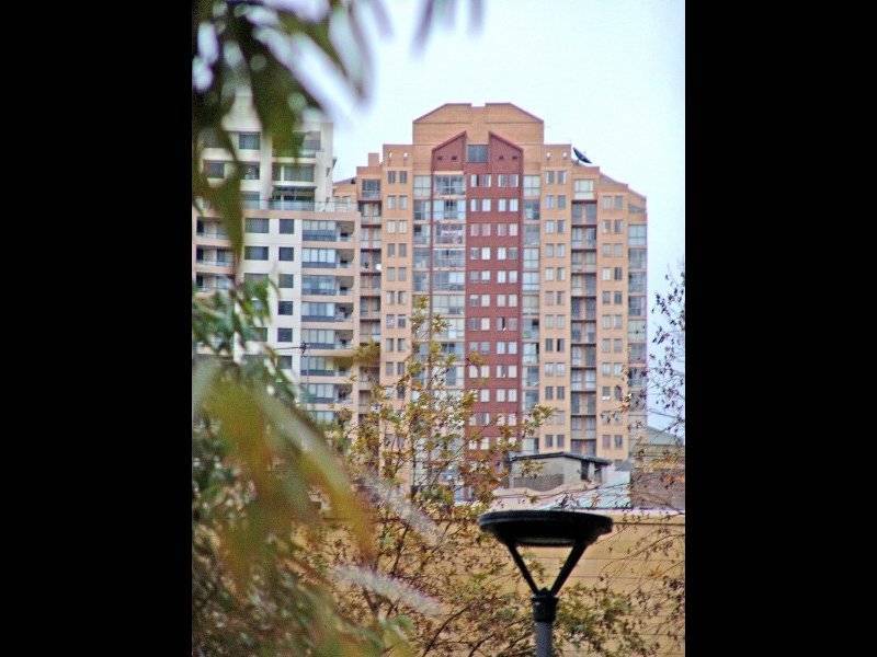 398 Pitt St, Sydney NSW 2000