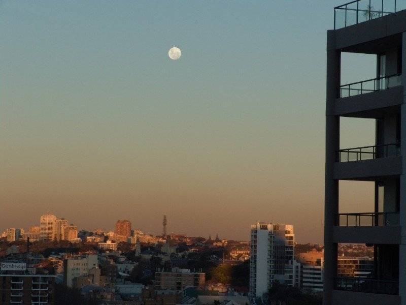 398 Pitt St, Sydney NSW 2000