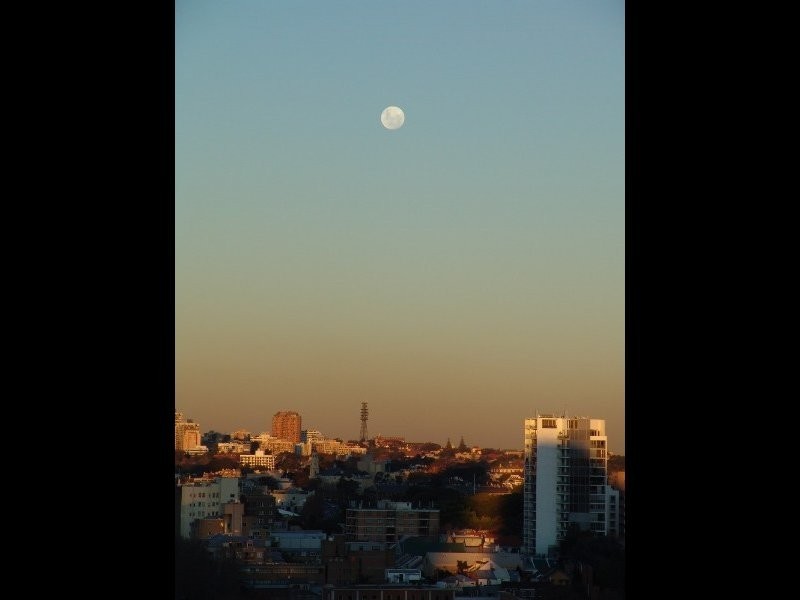 398 Pitt St, Sydney NSW 2000