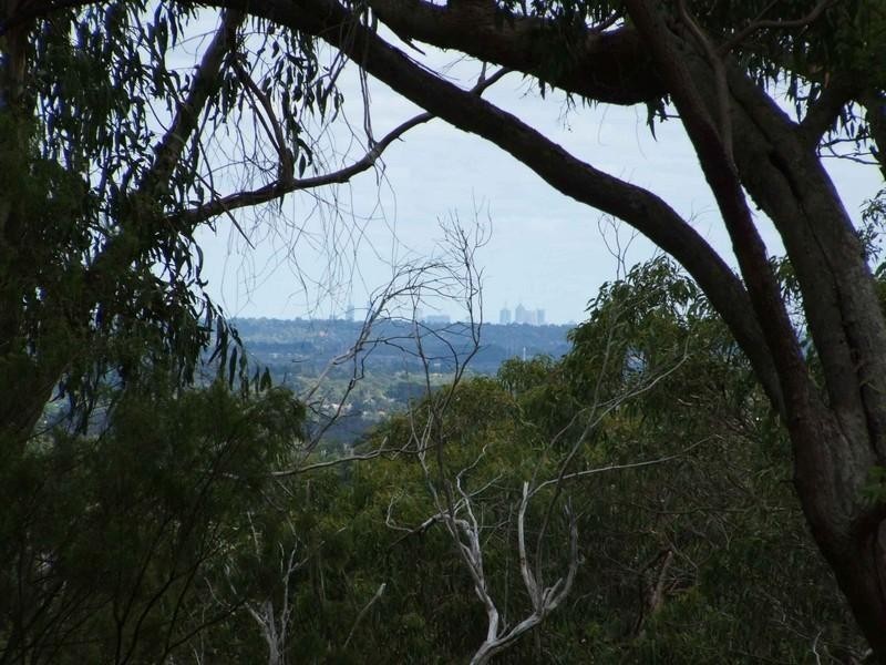 77 Ferndale Road, Upper Ferntree Gully VIC 3156