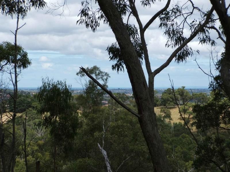 77 Ferndale Road, Upper Ferntree Gully VIC 3156
