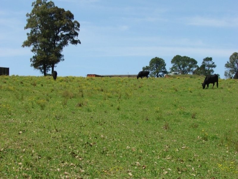 741 Bells Line Of Rd, Kurrajong NSW 2758