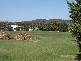 31 Lake View Drive, Safety Beach VIC 3936