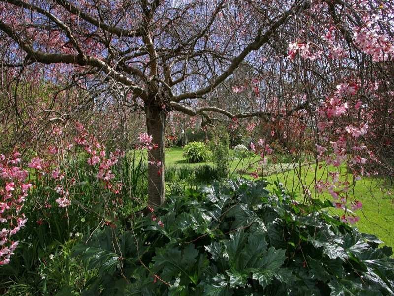 99 Bellbird Road, Mount Eliza VIC 3930