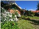 12 Ti Tree Grove, Mornington VIC 3931
