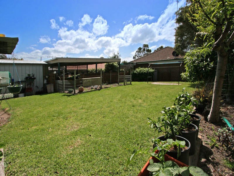 12 Ti Tree Grove, Mornington VIC 3931